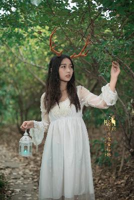 国产免费观看高清电视剧帅哥