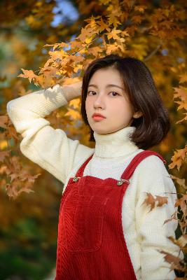 霜花店电影在线观看免费高清版